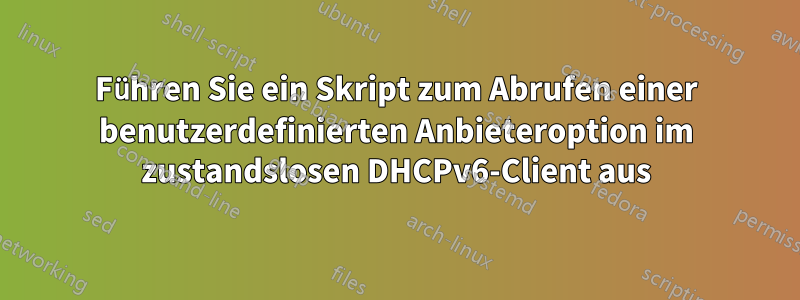 Führen Sie ein Skript zum Abrufen einer benutzerdefinierten Anbieteroption im zustandslosen DHCPv6-Client aus