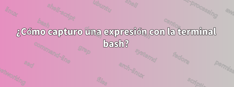 ¿Cómo capturo una expresión con la terminal bash?