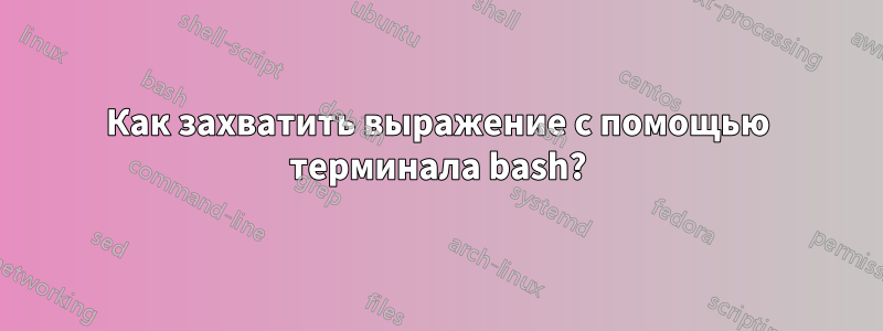 Как захватить выражение с помощью терминала bash?