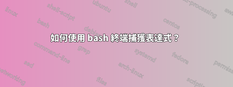 如何使用 bash 終端捕獲表達式？