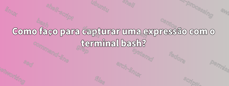 Como faço para capturar uma expressão com o terminal bash?