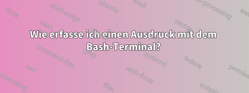 Wie erfasse ich einen Ausdruck mit dem Bash-Terminal?