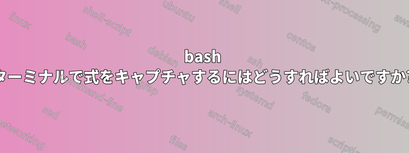 bash ターミナルで式をキャプチャするにはどうすればよいですか?