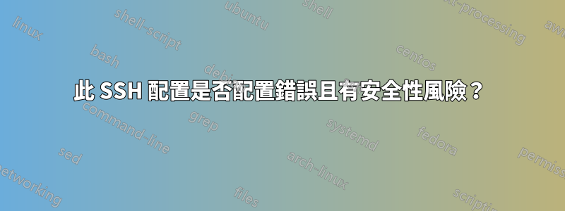 此 SSH 配置是否配置錯誤且有安全性風險？