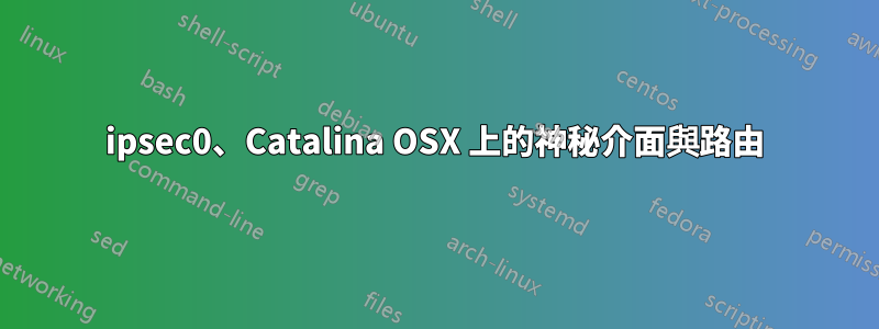 ipsec0、Catalina OSX 上的神秘介面與路由