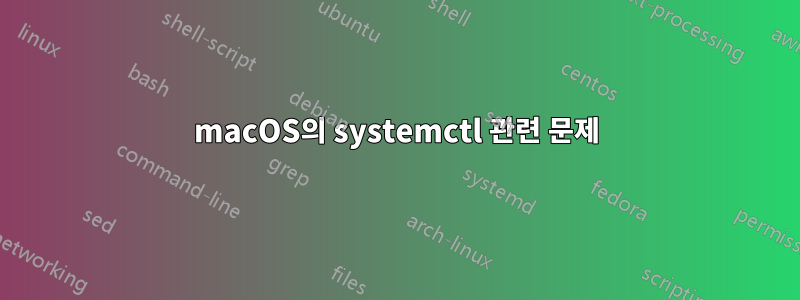 macOS의 systemctl 관련 문제