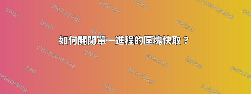 如何關閉單一進程的區塊快取？