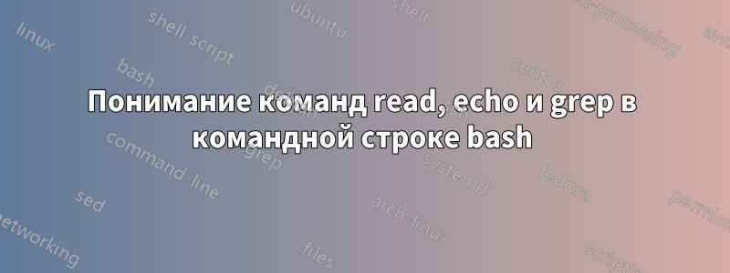 Понимание команд read, echo и grep в командной строке bash