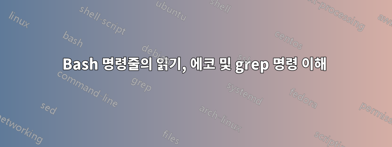 Bash 명령줄의 읽기, 에코 및 grep 명령 이해