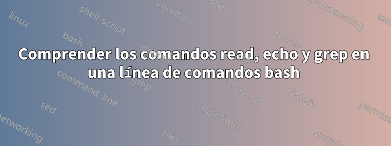 Comprender los comandos read, echo y grep en una línea de comandos bash