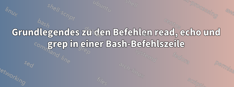 Grundlegendes zu den Befehlen read, echo und grep in einer Bash-Befehlszeile