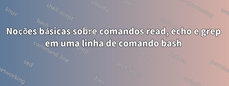 Noções básicas sobre comandos read, echo e grep em uma linha de comando bash