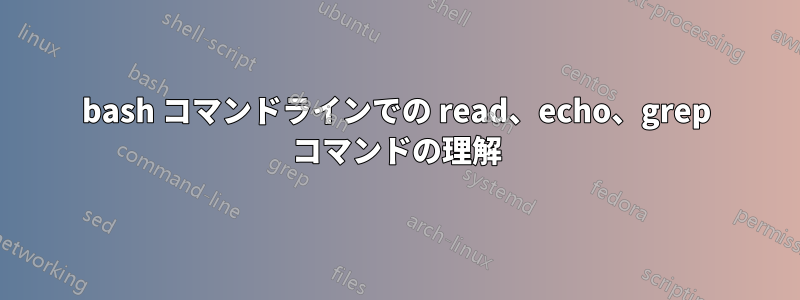 bash コマンドラインでの read、echo、grep コマンドの理解