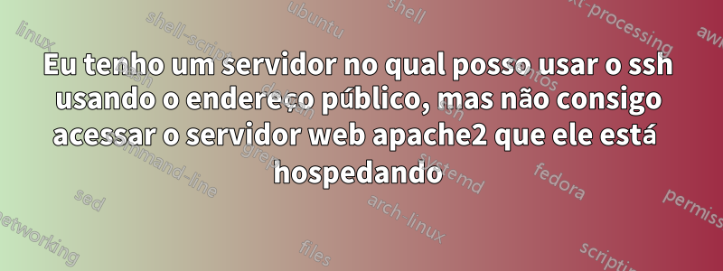 Eu tenho um servidor no qual posso usar o ssh usando o endereço público, mas não consigo acessar o servidor web apache2 que ele está hospedando