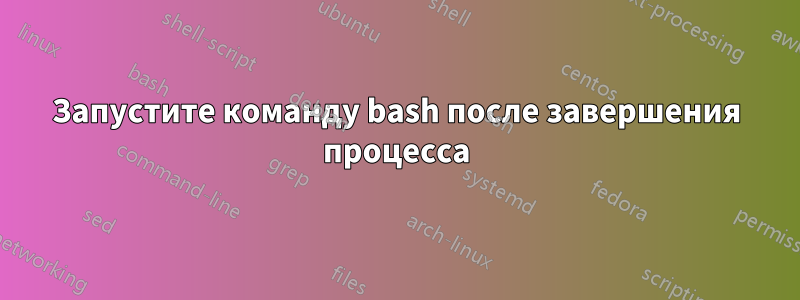 Запустите команду bash после завершения процесса