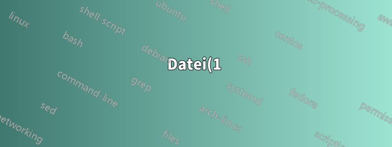 Datei(1) kann bei Ausgabe von Dateideskriptor, Pipe, FIFO, Gerät usw. nicht ausgeführt werden