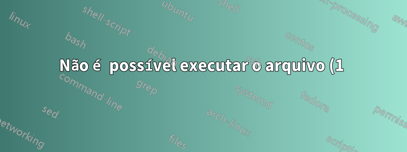 Não é possível executar o arquivo (1) na saída do descritor de arquivo, pipe, fifo, dispositivo, etc.