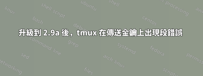 升級到 2.9a 後，tmux 在傳送金鑰上出現段錯誤