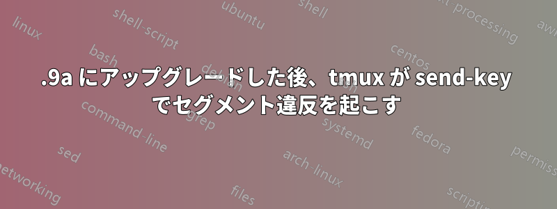 2.9a にアップグレードした後、tmux が send-key でセグメント違反を起こす