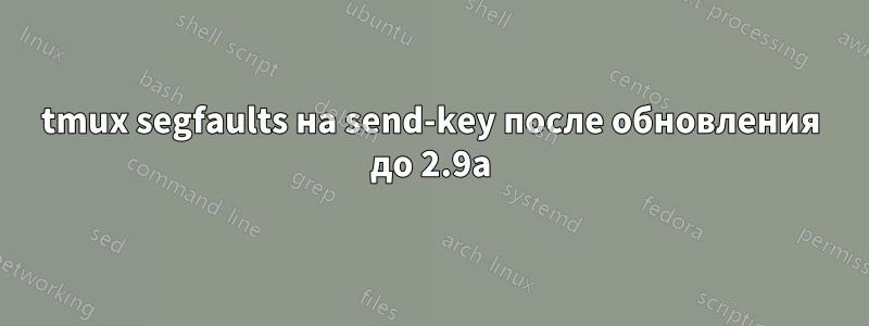 tmux segfaults на send-key после обновления до 2.9a