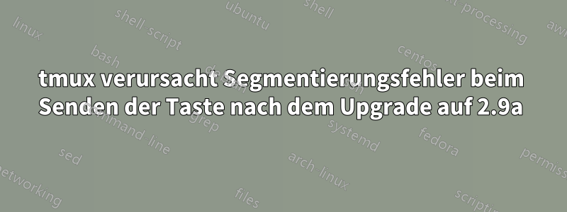 tmux verursacht Segmentierungsfehler beim Senden der Taste nach dem Upgrade auf 2.9a