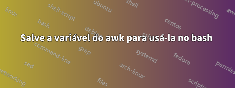 Salve a variável do awk para usá-la no bash