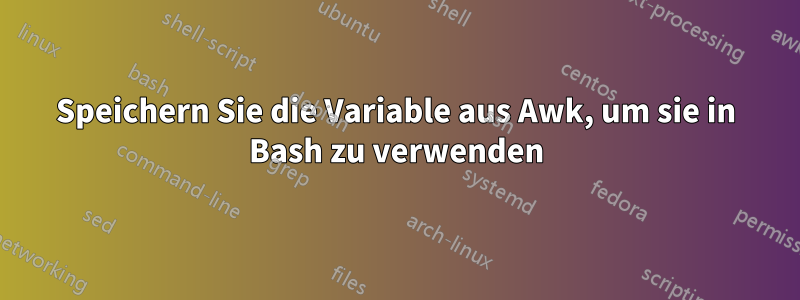 Speichern Sie die Variable aus Awk, um sie in Bash zu verwenden