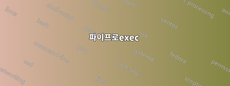 파이프로exec