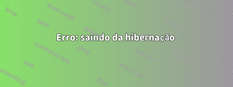 Erro: saindo da hibernação