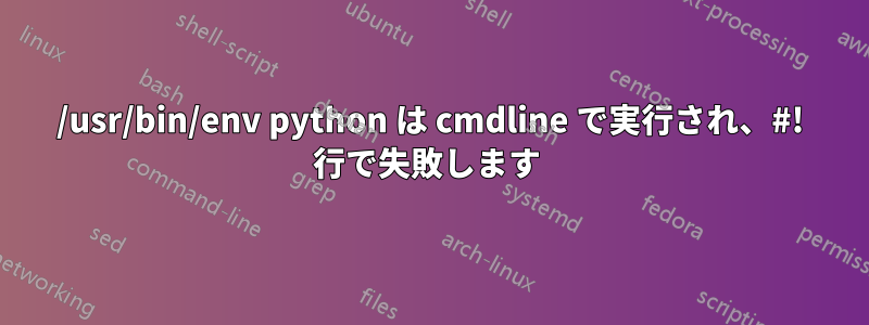 /usr/bin/env python は cmdline で実行され、#! 行で失敗します 