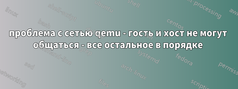 проблема с сетью qemu - гость и хост не могут общаться - все остальное в порядке