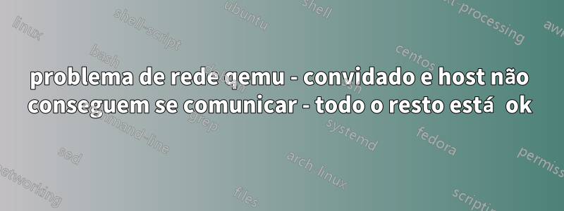 problema de rede qemu - convidado e host não conseguem se comunicar - todo o resto está ok