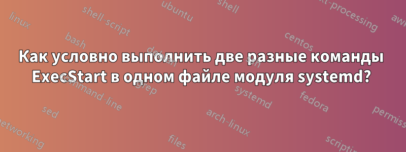 Как условно выполнить две разные команды ExecStart в одном файле модуля systemd?