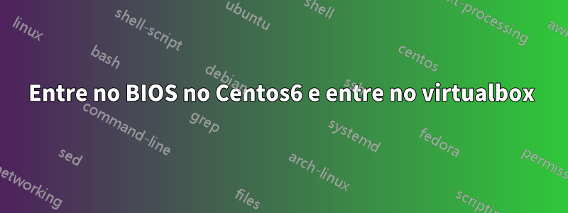 Entre no BIOS no Centos6 e entre no virtualbox