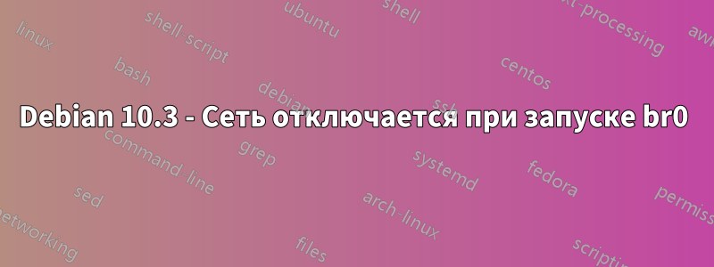 Debian 10.3 - Сеть отключается при запуске br0