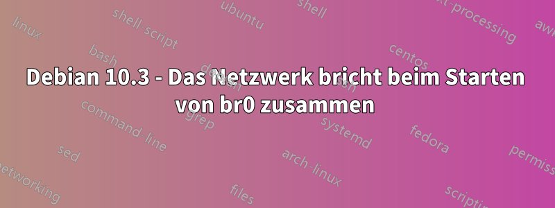 Debian 10.3 - Das Netzwerk bricht beim Starten von br0 zusammen