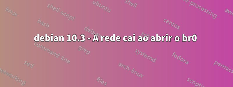 debian 10.3 - A rede cai ao abrir o br0