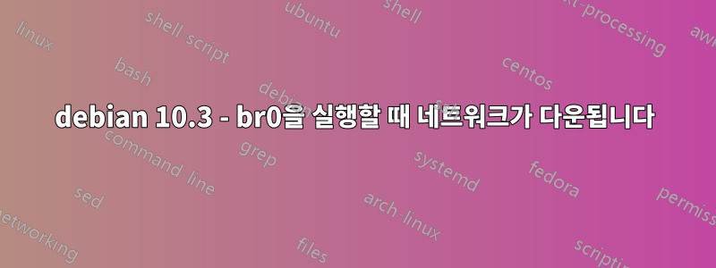 debian 10.3 - br0을 실행할 때 네트워크가 다운됩니다