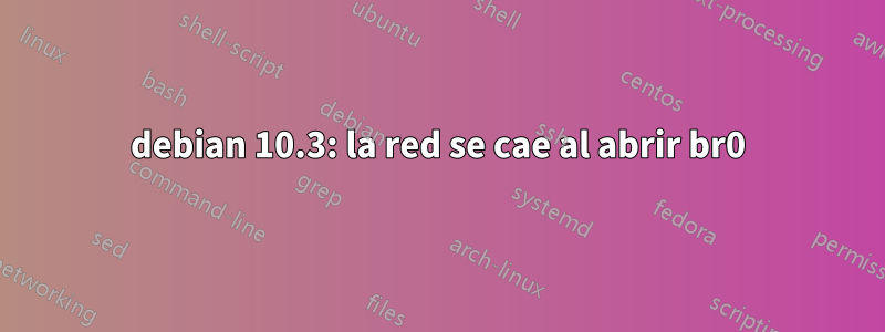 debian 10.3: la red se cae al abrir br0