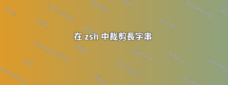 在 zsh 中裁剪長字串