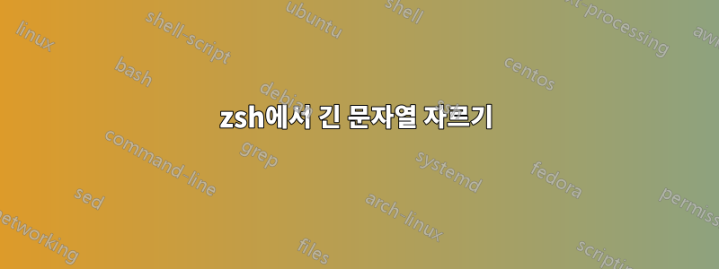 zsh에서 긴 문자열 자르기