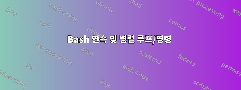 Bash 연속 및 병렬 루프/명령