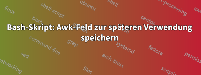 Bash-Skript: Awk-Feld zur späteren Verwendung speichern