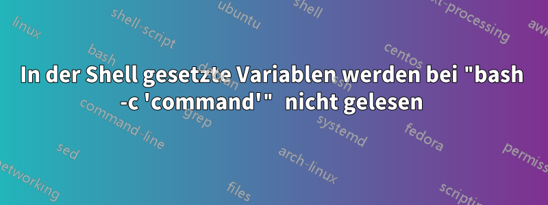 In der Shell gesetzte Variablen werden bei "bash -c 'command'" nicht gelesen