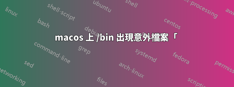 macos 上 /bin 出現意外檔案「