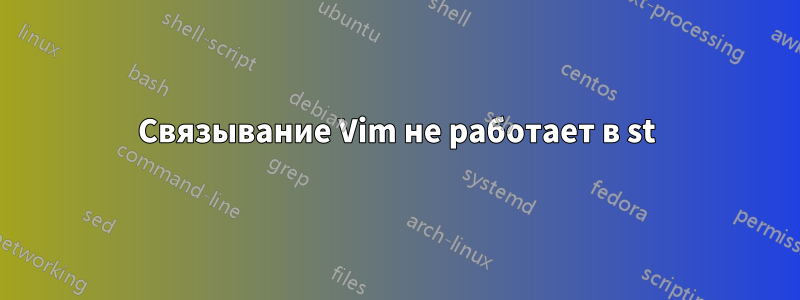 Связывание Vim не работает в st