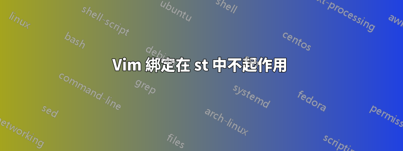 Vim 綁定在 st 中不起作用