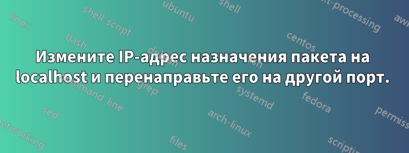 Измените IP-адрес назначения пакета на localhost и перенаправьте его на другой порт.