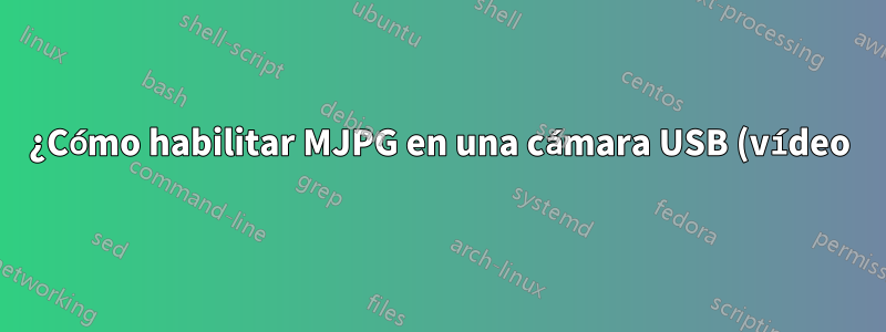 ¿Cómo habilitar MJPG en una cámara USB (vídeo)?