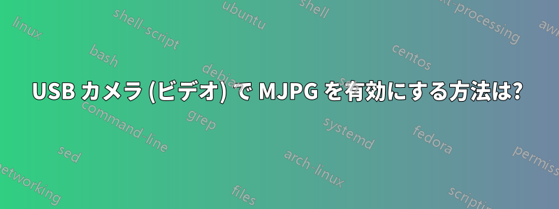 USB カメラ (ビデオ) で MJPG を有効にする方法は?